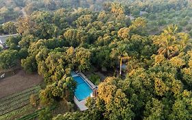 Gir County Resort